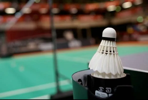 61493421631_Badminton.jpg