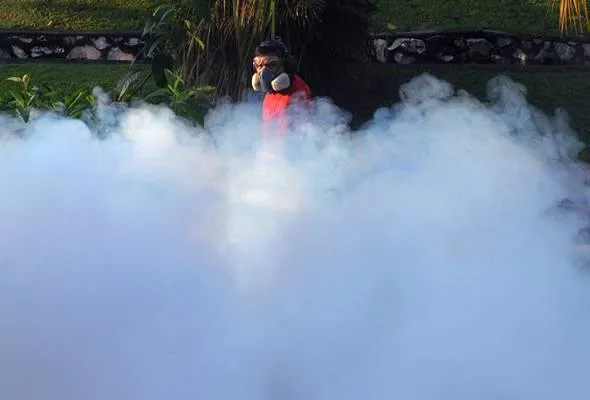 61472774808_Penyemburan.jpg