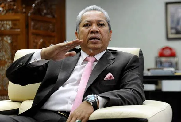 51479907415_TSAnnuarMusa.jpg