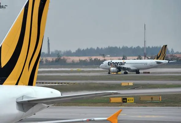 61463489432_Tigerair.jpg