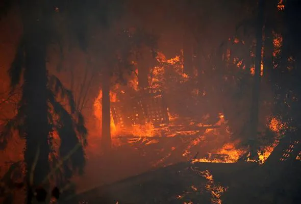 81480041864_fireisrael.jpg