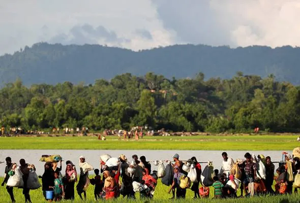 61507603119_TBRohingya.jpg