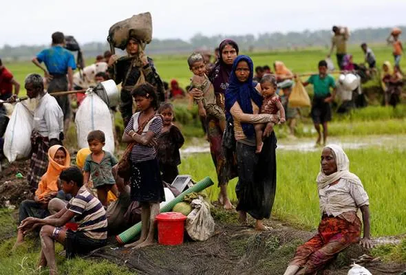 51504405516_Rohingya.jpg