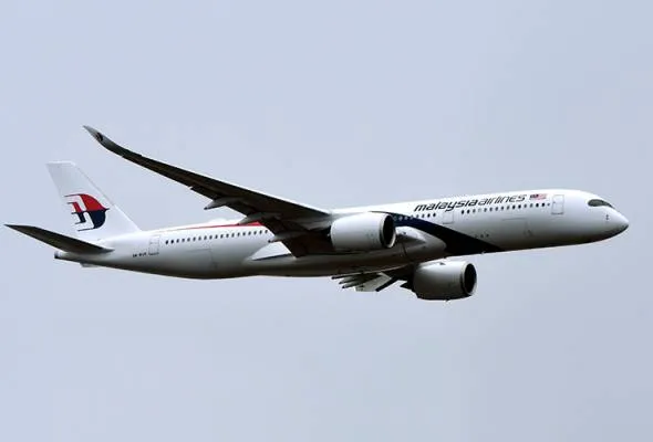 41523361465_MAS.jpg