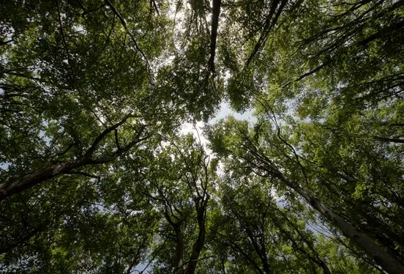 81508118266_TBhutan.jpg