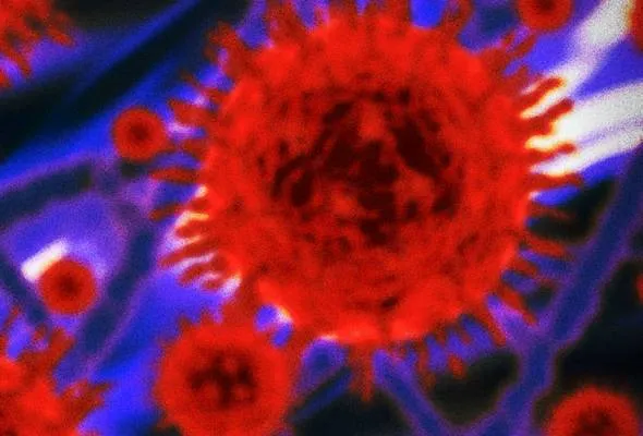 81581567122_TBcoronavirus.jpg