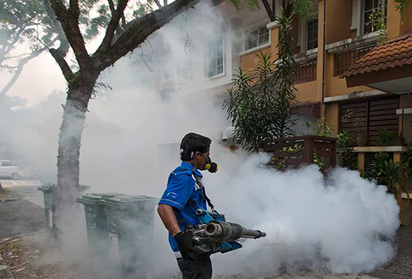 81435384596_DENGUEFOGGING.jpg