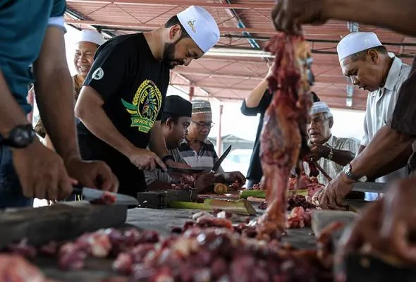 41565513655_dagingkorban.jpg