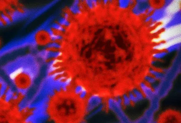 51581583033_TBcoronavirus.jpg