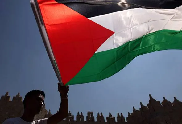 71649854562_PalestineFlag.jpg