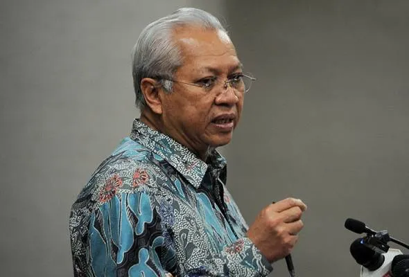 81659775400_TBannuarmusa.jpg