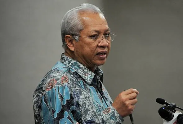 81659889880_TBannuarmusa.jpg