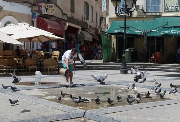 81689974606_HeatwaveTunis.jpg