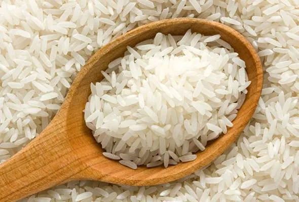 51635843975_RICE.jpg