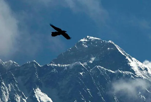 51684600006_TBEVEREST.jpg
