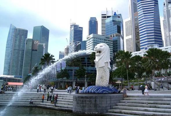51684466755_TBsingapore.jpg