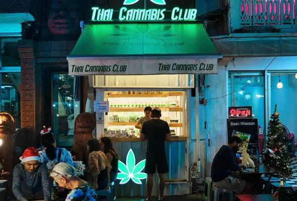 81705367366_ThaiCannabisClubO.jpg