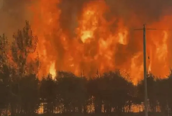 41752210561_WildfiresWanless.jpg