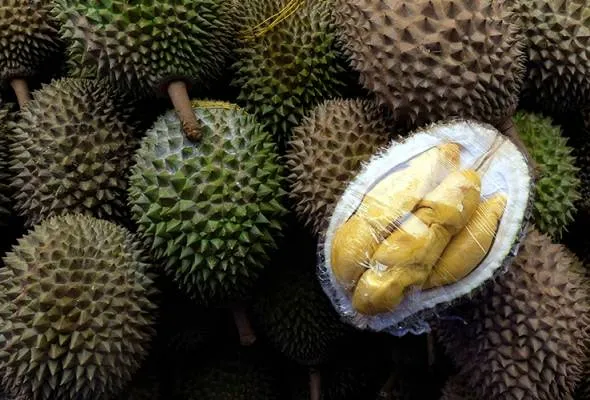 81728973632_durian.jpg