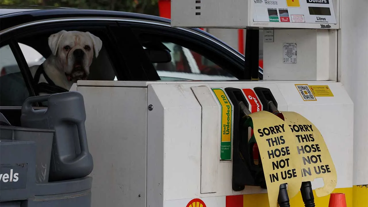 A dog looks out of a car window next to signs on empty fuel dispensers at a Shell petrol station that ran out of fuel, in Sydney, Australia, March 30, 2026. REUTERS/Hollie Adams