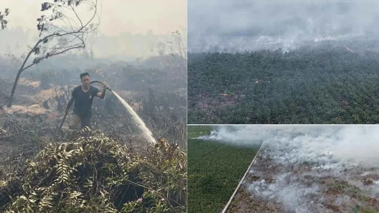 Kawasan ladang kelapa sawit seluas kira-kira 60.7 hektar dilaporkan terbakar dalam kejadian di Kampung Jemeri, Kuala Rompin di sini pada Isnin. Foto Bomba Pahang.