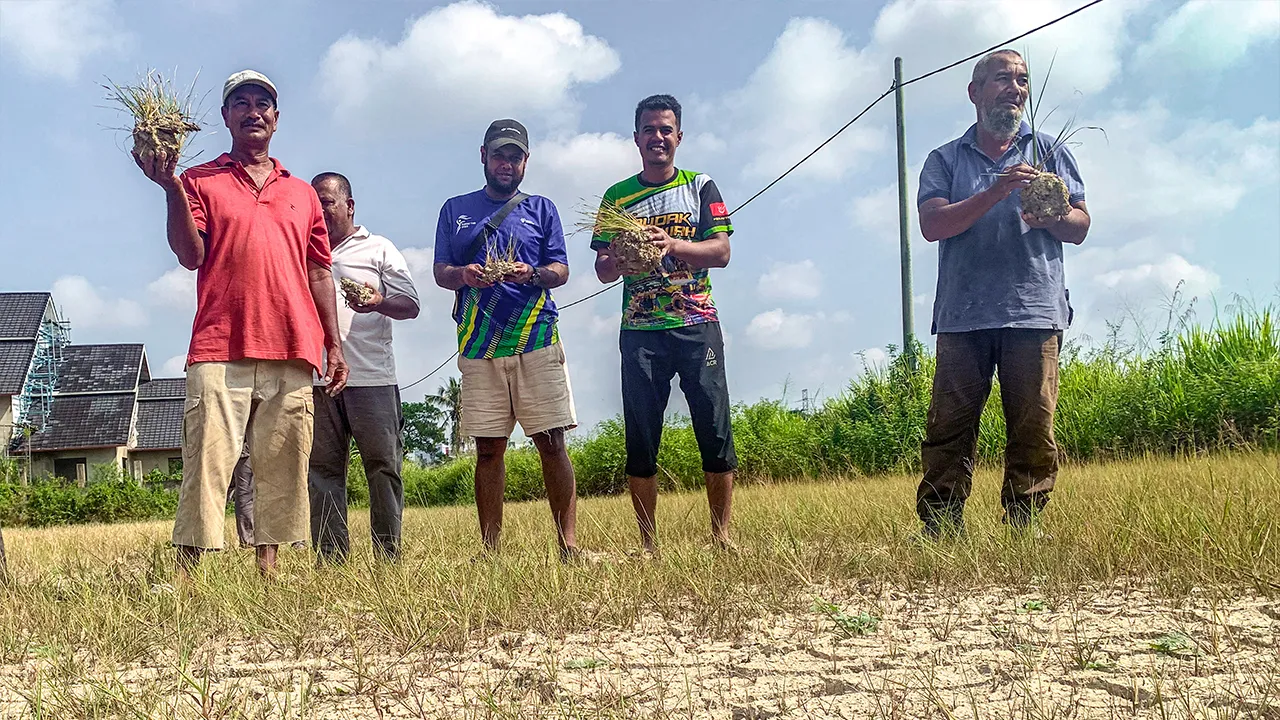 KOTA BHARU, 30 Mac -- Keadaan menyedihkan menyelubungi pesawah di Kawasan Kota Bharu Utara (KBU), Kampung Belukar apabila tanaman padi mereka dilaporkan mati akibat kemarau ketika tinjauan hari ini.  Di seluruh Kelantan, seramai 1,085 pesawah yang mengusahakan kawasan seluas 3,638 hektar terjejas apabila tanaman gagal dialirkan air berikutan masalah sumber bekalan._BERNAMA