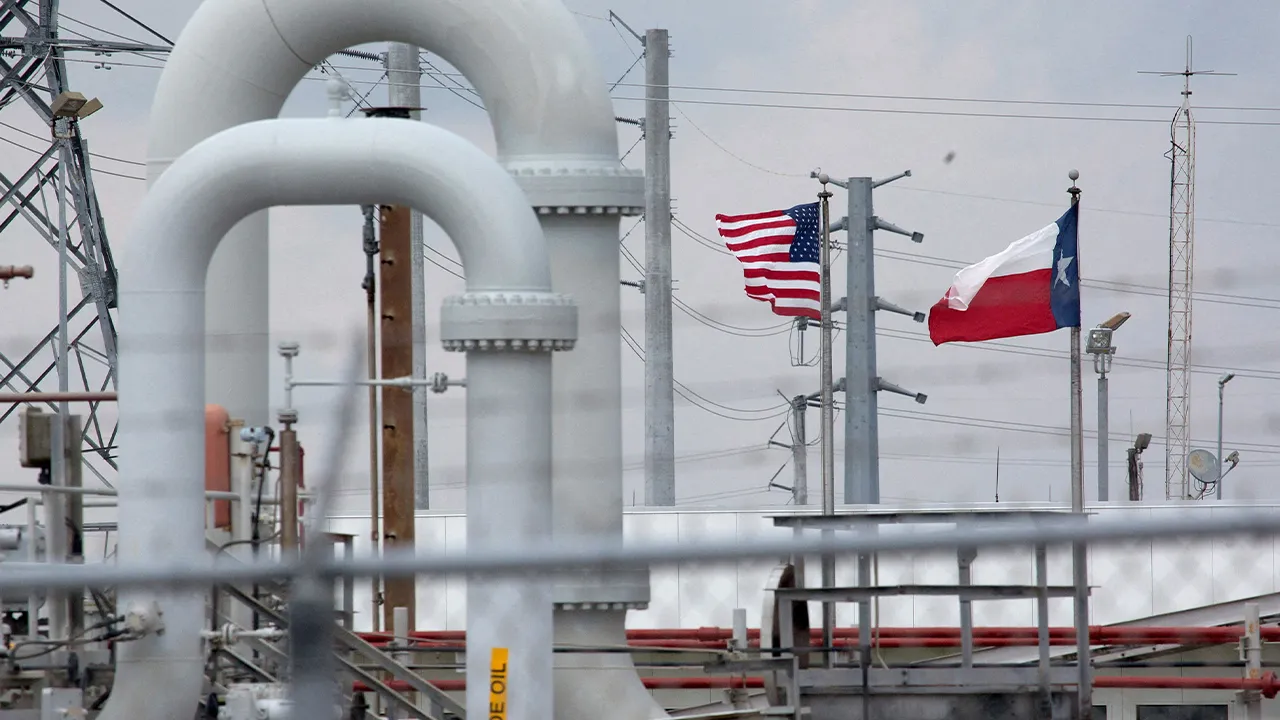 FILE PHOTO: A maze of crude oil pipe and equipment is seen with the American and Texas flags flying in the background during a tour by the Department of Energy at the Strategic Petroleum Reserve in Freeport, Texas, U.S. June 9, 2016. REUTERS/Richard Carson/File Photo