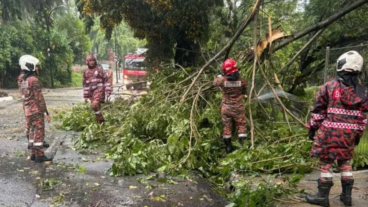 Beberapa kenderaan dihempap pokok tumbang dalam kejadian ribut petir dan hujan lebat yang melanda sekitar ibu negara pada petang Isnin. Foto: JBPM