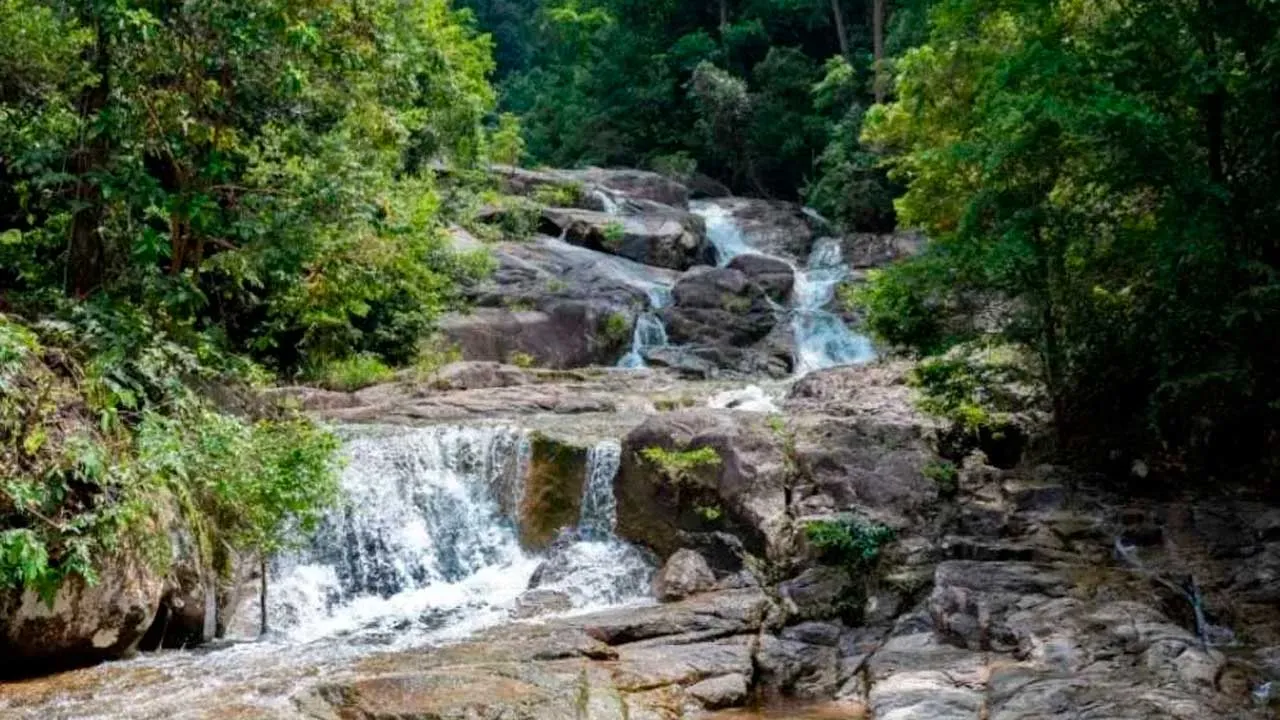 Seorang remaja lelaki berusia 15 tahun meninggal dunia selepas lemas ketika mandi-manda di Air Terjun Gunung Ledang, Tangkak, petang Rabu.
