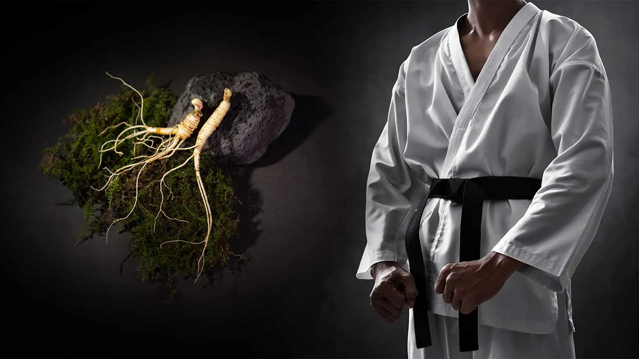 ginseng taekwondo