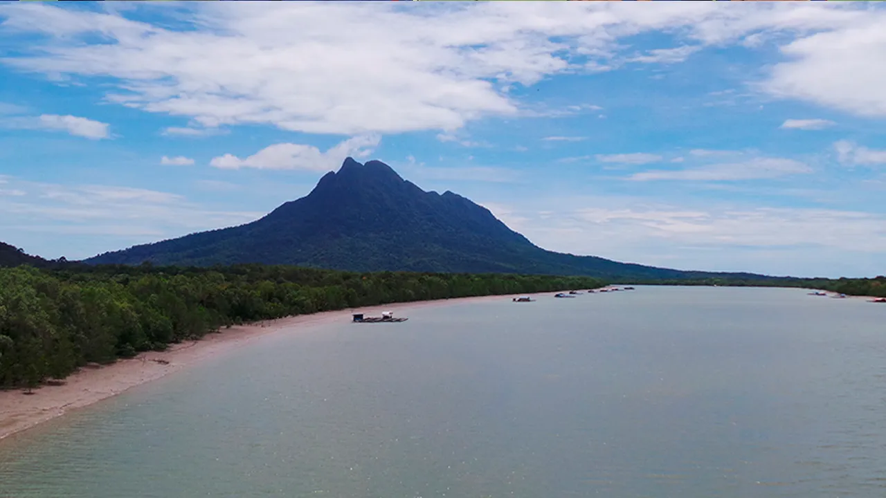 Santubong National Park is a great place for a day visit. Santubong is located on the Damai Peninsula, 35km north of Kuching. Seen from sea level, it’s irregular rainforest-covered peaks rise steeply to 810m, forming a catchment for a variety of wildlife._sarawak.gov 