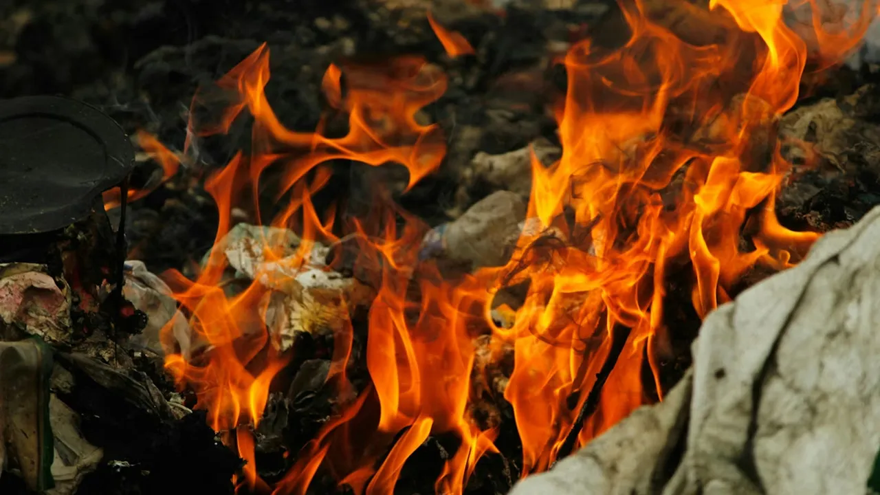 Bakar sampah_Unsplash