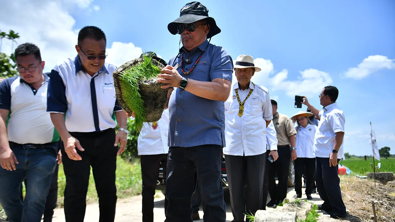 SRI AMAN, 9 April -- Menteri Pertanian dan Keterjaminan Makanan Datuk Seri Mohamad Sabu meninjau sekitar projek penanaman padi selepas menghadiri Majlis Perasmian program Gelombang Padi Sarawak: SMART Sawah Berskala Besar (SMART SBB) di Dewan Sri Nangkai Gran Stumbin, Sri Aman, hari ini.  -- fotoBERNAMA (2025) HAK CIPTA TERPELIHARA