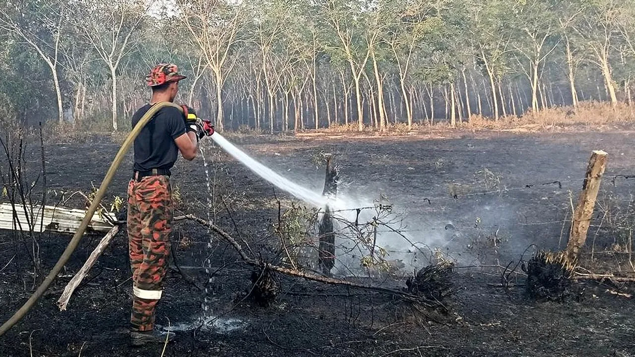Sumber: BBP RANTAU PANJANG
