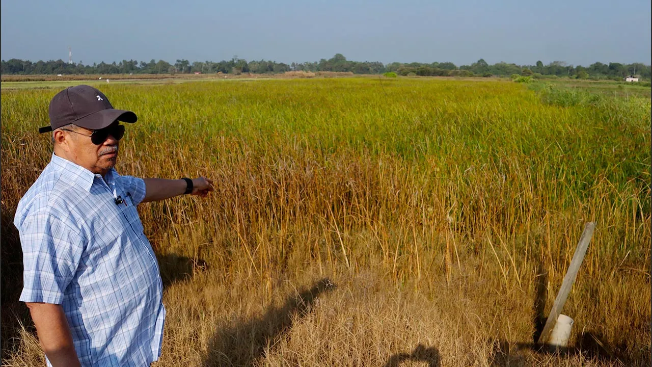 PEKAN, 3 April -- Menteri Pertanian dan Keterjaminan Makanan Datuk Seri Mohamad Sabu meninjau keadaan sebahagian sawah padi yang dipenuhi lalang semasa melakukan lawatan kerja ke projek pembukaan semula kawasan padi terbiar di Pekan hari ini.  --fotoBERNAMA (2026) HAK CIPTA TERPELIHARA