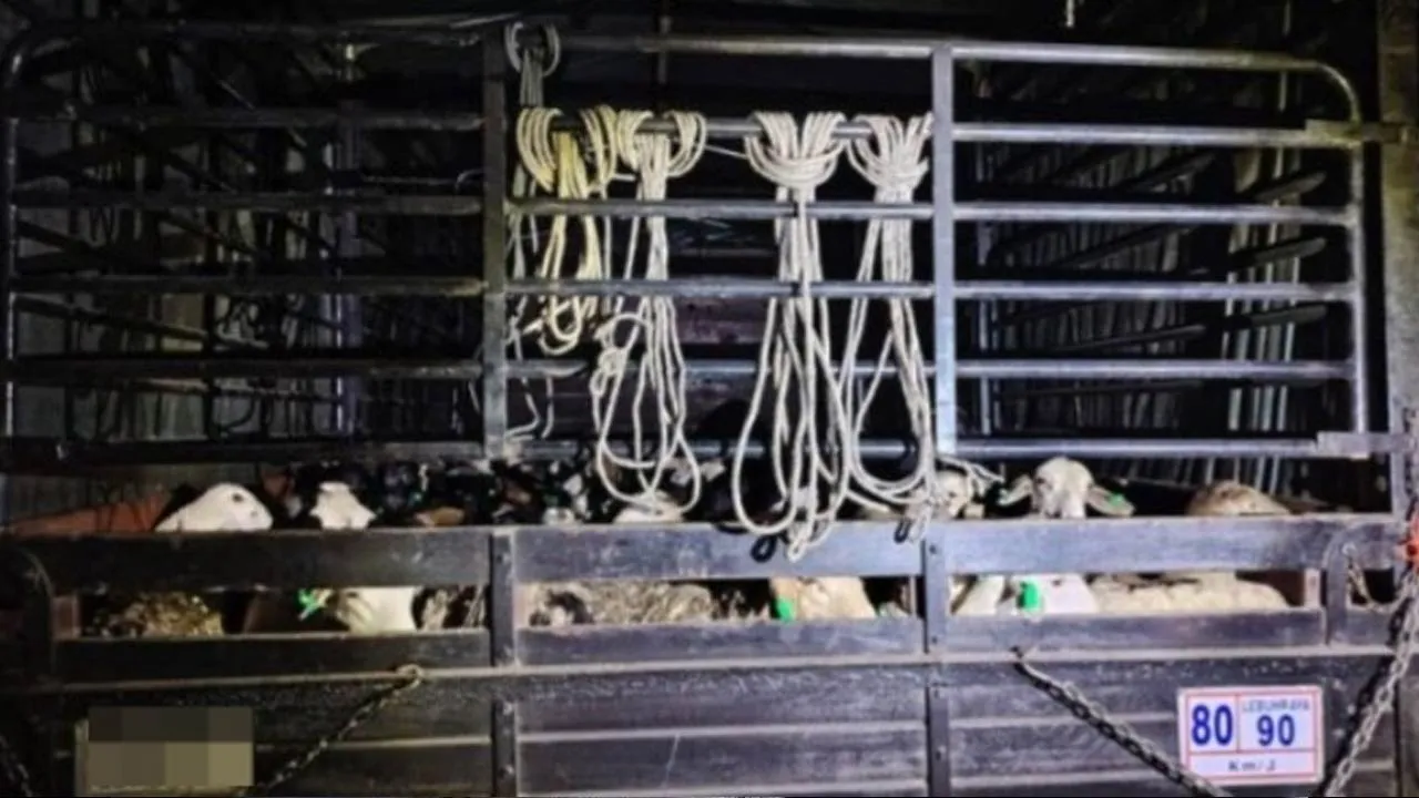 PGA, biri-biri - Kredit PGA