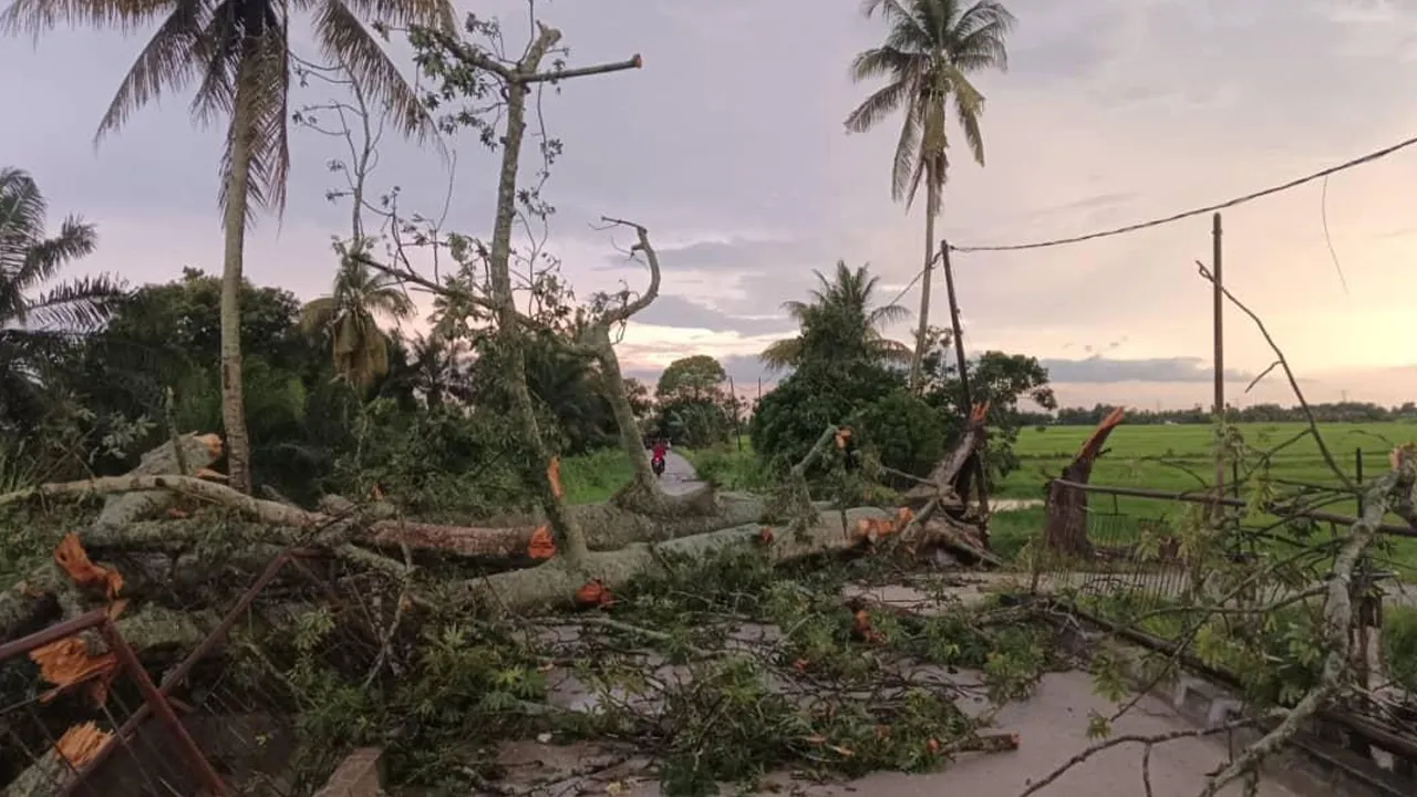 Perak hantar - HUJAN RIBUT: LEBIH 30 RUMAH TERJEJAS, 70 POKOK TUMBANG DI HILIR PERAK_Astro AWANI