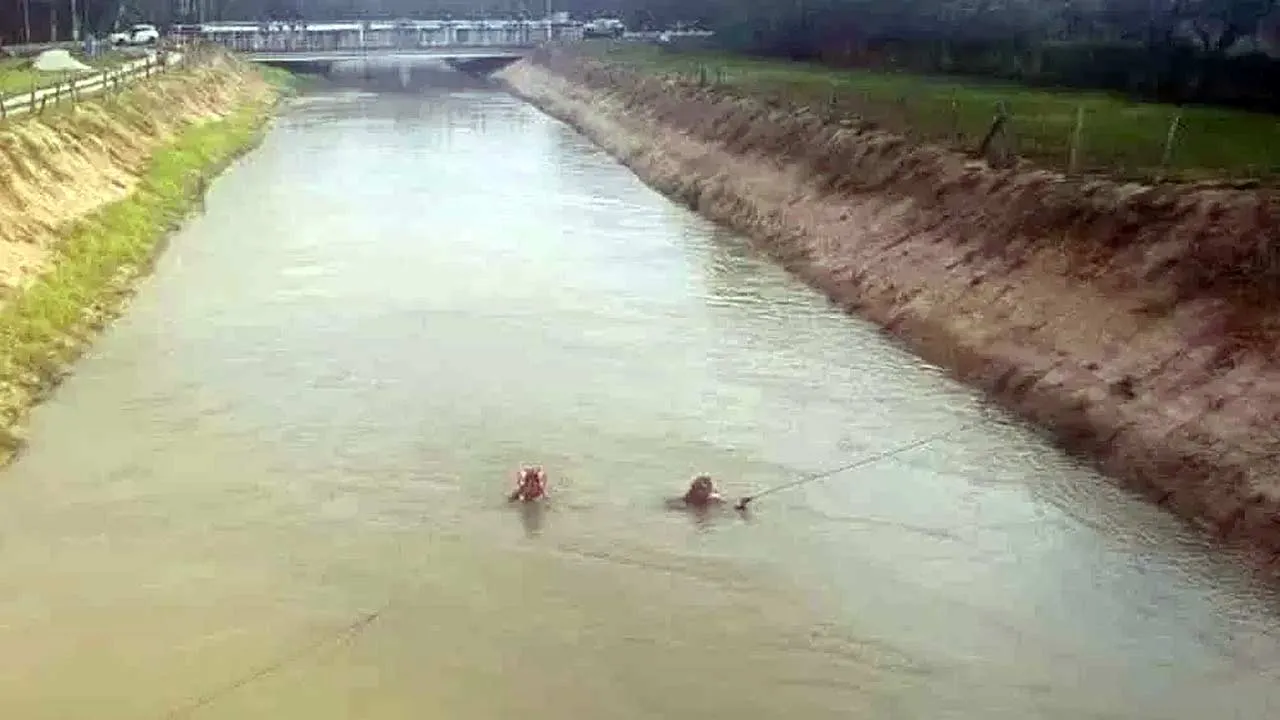 Anggota bomba melakukan pencarian mangsa yang terjatuh ke dalam Terusan Sungai Dua di Jalan Bertam Perdana 2 pada Khamis.