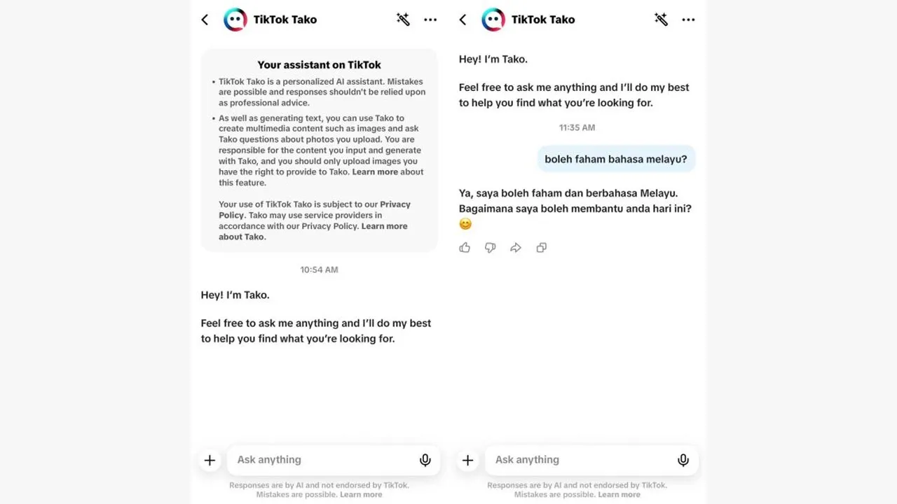 TikTok Tako Mula Ditawarkan Untuk Pengguna Malaysia – Ciri Chatbot AI Secara Terbina Pada Aplikasi TikTok -- AMANZ