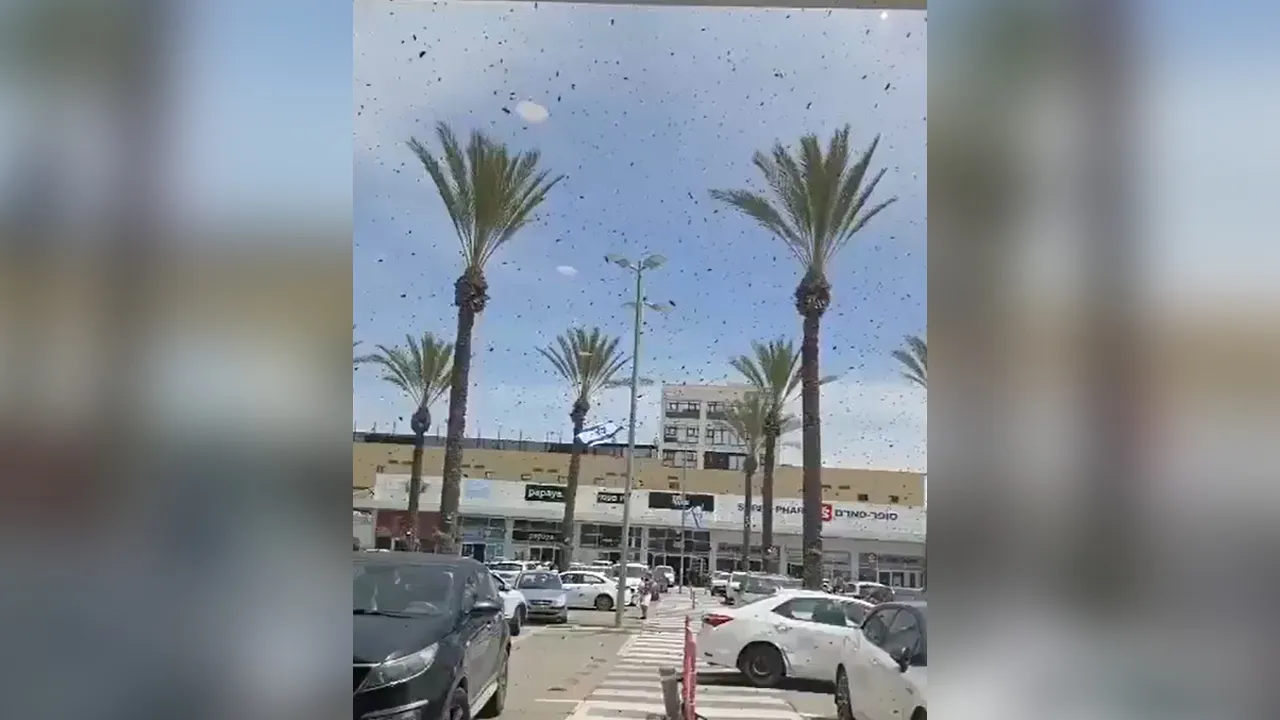 Sumber: X/@JnglJourney