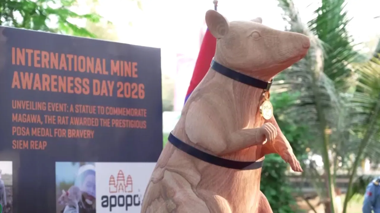  From minefields to monument: Cambodia unveils statue to honour demining rat