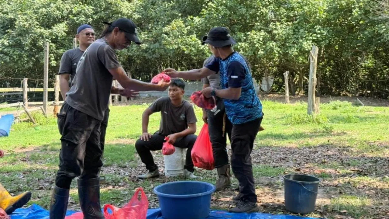 https://bernama.com/bm/news.php?id=2562258