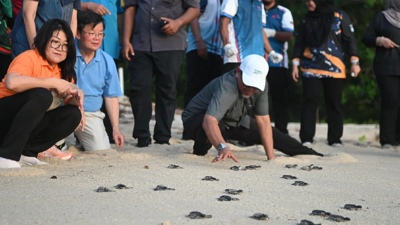 Ketua Menteri Pulau Pinang, Chow Kon Yeow lepaskan penyu. Sumber: Chow Kon Yeow 