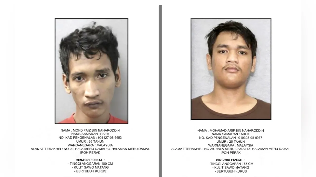IPOH, 23 Mei (Bernama) -- Polis giat mengesan dua beradik yang melarikan peti wang dan telefon bimbit milik seorang peniaga wanita yang menjual "nasi bajet" di gerainya di tepi Jalan Lebuh Meru Raya di sini, Khamis lepas.