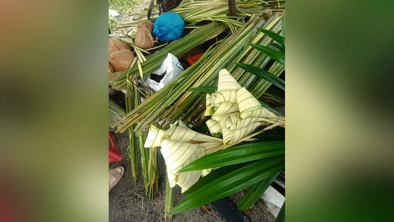 Daun palas