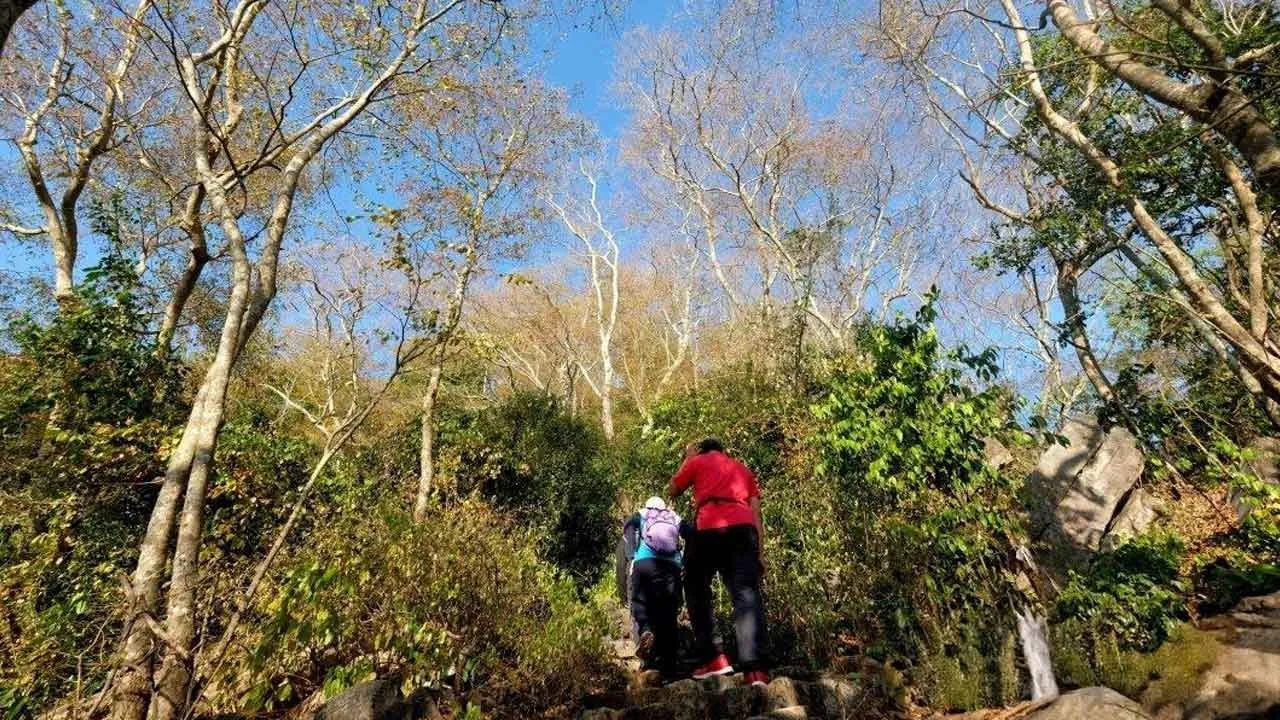 HIKING