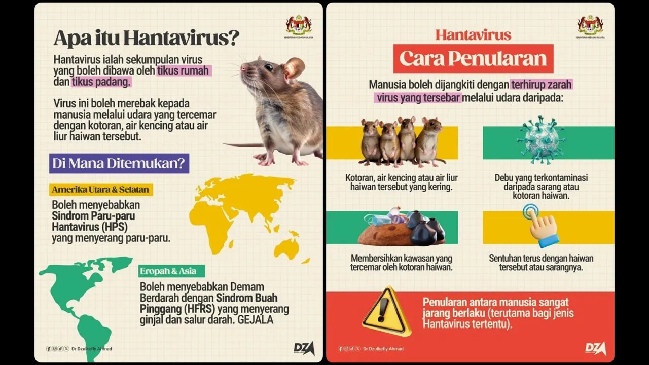 KKM Pantau Rapi Perkembangan Penularan Hantavirus