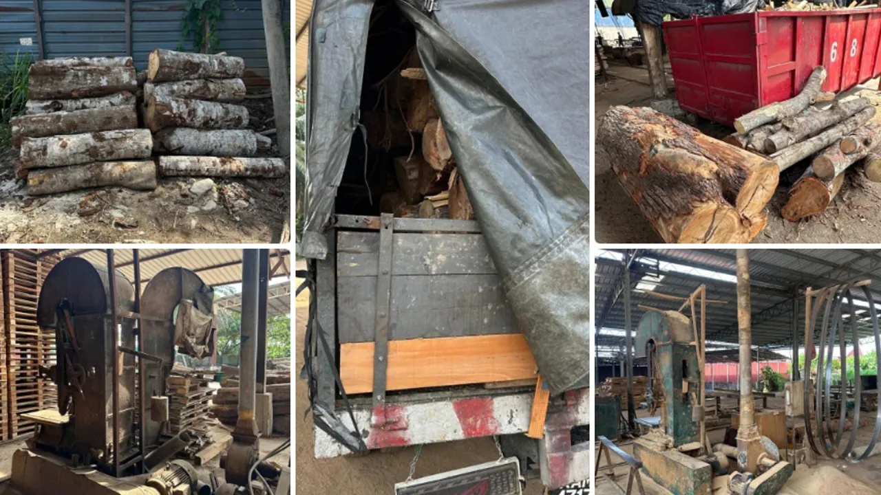 Kilang proses kayu balak_PGA Briged Utara