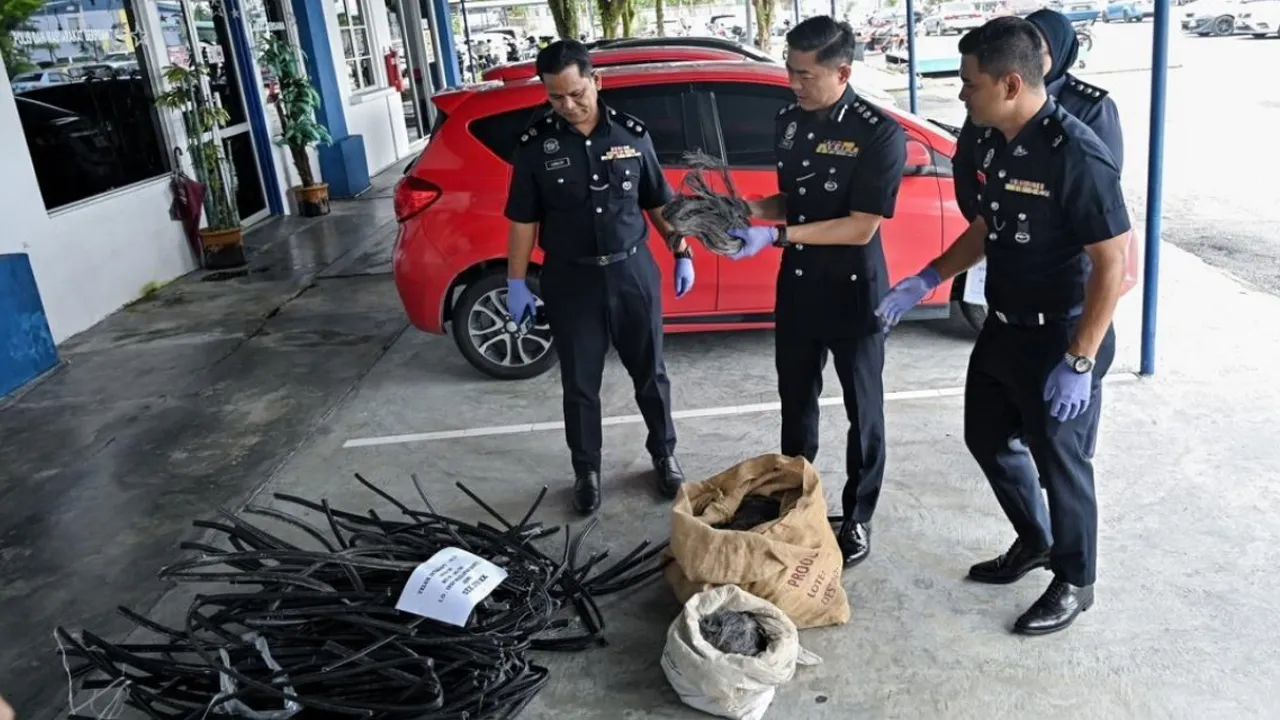 TELUK INTAN, 6 Mei (Bernama) -- Polis berjaya menahan tujuh lelaki tempatan dipercayai terbabit dengan kejadian samun sehingga menyebabkan kematian dan kecurian kabel dalam kejadian di sekitar Teluk Intan. Ketua Polis Daerah Hilir Perak ACP Chua Kok Lian berkata kesemua suspek berusia dalam lingkungan 20 hingga 30 tahun itu ditahan di sekitar daerah Teluk Intan dan Bentong, Pahang.