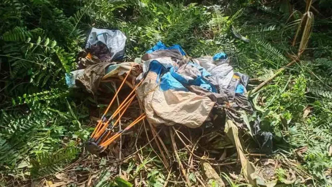 https://www.sinarharian.com.my/article/779847/berita/semasa/buruh-berkhemah-di-hutan-maut-diserang-kumpulan-gajah